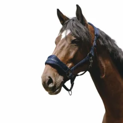 Equithème - Licol Nylon 3D Mesh Marine Hot