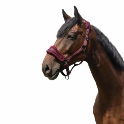 Equithème - Licol Nylon 3D Mesh Bordeaux