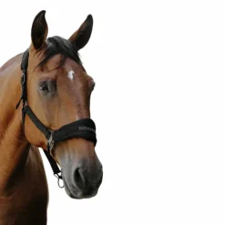Outlet Equithème - Licol Nylon 3D Mesh Noir