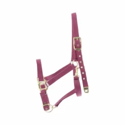 New Equithème - Licol Nylon Fuchsia