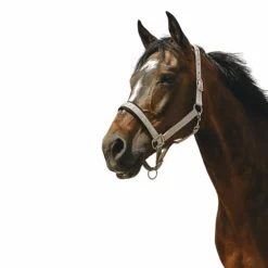 Clearance Equithème - Licol Nylon Jacquard taupe Marron