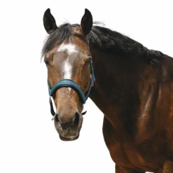 Equithème - Licol Nylon Jacquard canard Bleu