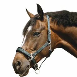 Online Equithème - Licol Nylon Jacquard Vert