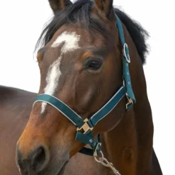 Hot Equithème - Licol nylon Light foncé Vert