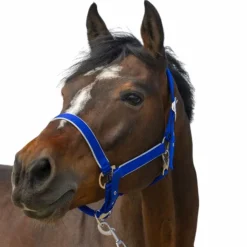 Equithème - Licol nylon Light roi Bleu