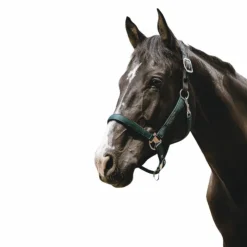 Equithème - Licol Nylon Protector Vert Outlet