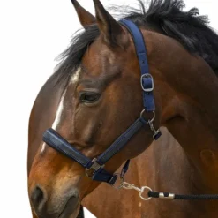 Best Equithème - Licol nylon Strass Marine