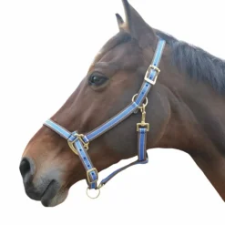 Equithème - Licol Polyfun bleu vif Discount