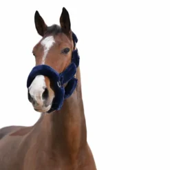 Discount Equithème - Licol Teddy marine