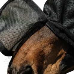 Clearance Equithème - Masque anti-mouches et UV Protech Noir