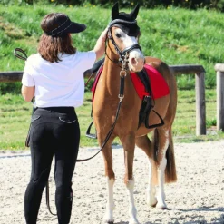 Equithème - Pantalon d'équitation femme Pro Noir Online