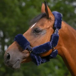 Equithème - Set Teddy pour licol marine Best