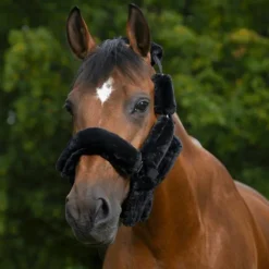 Hot Equithème - Set Teddy pour licol noir