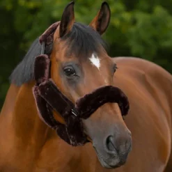 Sale Equithème - Set Teddy pour licol marron