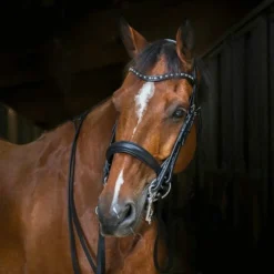 Clearance Eric Thomas - Bride doublée Clarino strass Noir