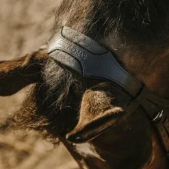 Best Eric Thomas - Bridon bat Noir