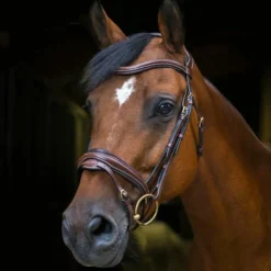 Eric Thomas - Bridon Design Havane Clearance