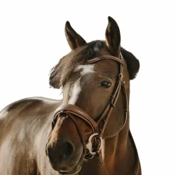 Best Eric Thomas - Bridon Visby Havane