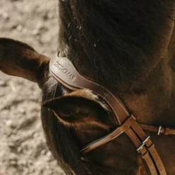 Best Eric Thomas - Bridon Visby Havane