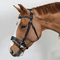 Eric Thomas - Bridon Wave Noir Best