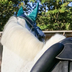 Eric Thomas - Bridon Wave Noir Best