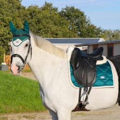 Eric Thomas - Bridon Wave Noir Best