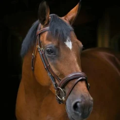 Clearance Eric Thomas - Bridon Wave Havane