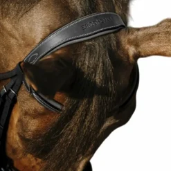 Eric Thomas - Bridon Work Noir Online