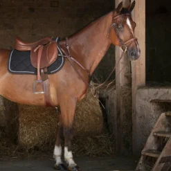 Best Eric Thomas - Collier de chasse Hybrid Havane