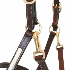 Online Eric Thomas - Licol cuir Grooming Havane