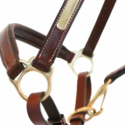 Online Eric Thomas - Licol cuir Grooming Havane