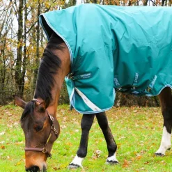 Online Eric Thomas - Licol cuir Grooming Havane