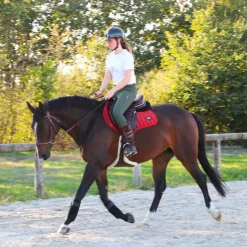 Eric Thomas - Muserolle bitless havane Hot