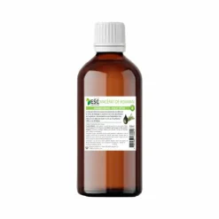 ESC Laboratoire - Complément alimentaire protection du foie et détox Macérat de bourgeon de Romarin Online