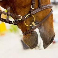 Online Feeling - Mors de bride 2 anneaux brisé Cyprium Doré