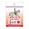 FFE - Guide Fédéral Galop 1