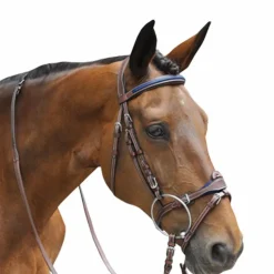 Flags & Cup - Bridon combiné Paris avec rênes marron/ bleu Havane Clearance