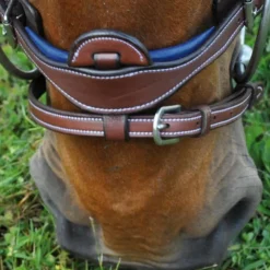 Flags & Cup - Bridon combiné Paris avec rênes marron/ bleu Havane Clearance