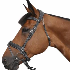 New Flags & Cup - Bridon Comfort combiné avec rênes Noir