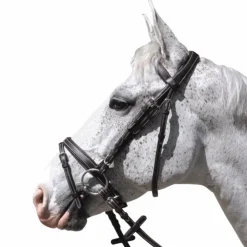 Flags & Cup - Bridon Göteborg avec rênes marron Havane Discount