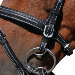 Flags & Cup - Bridon Helsinki avec rênes Noir