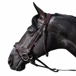 Flags & Cup - Bridon Hickstead avec rênes marron Havane Discount
