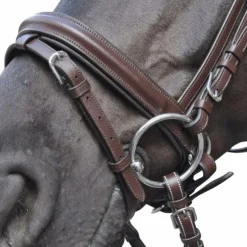 Flags & Cup - Bridon Hickstead avec rênes marron Havane Discount