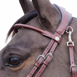 Flags & Cup - Bridon Madrid marron Havane Sale