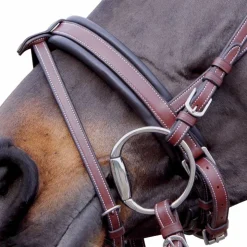 Flags & Cup - Bridon Madrid marron Havane Sale