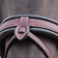 Flags & Cup - Bridon Madrid marron Havane Sale