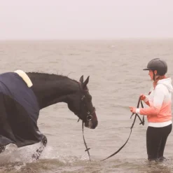 Flags & Cup - Bridon Oslo avec rênes marron Havane
