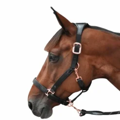 Hot Flags & Cup - Licol cheval nylon et cuir noir / gold Rose