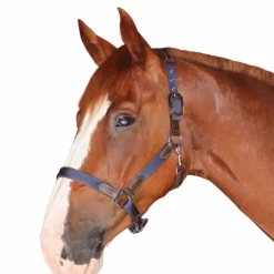 Flags & Cup - Licol cheval nylon et cuir / marine Marron Hot