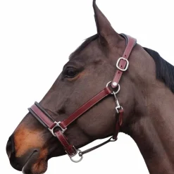 Flags & Cup - Licol Comfort Marron Sale